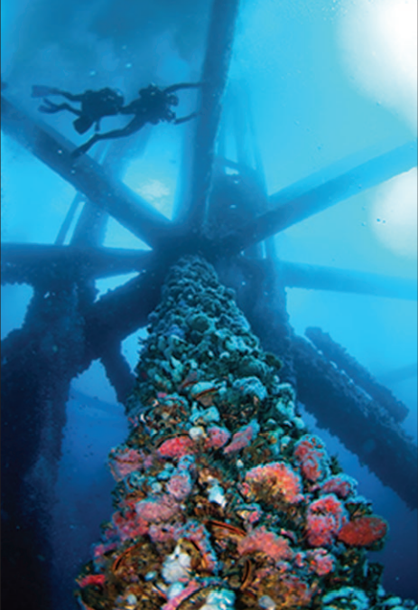 Underwater Coating system speeds up repair times and saves Down time